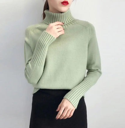 Womens Thick Knit Sweater