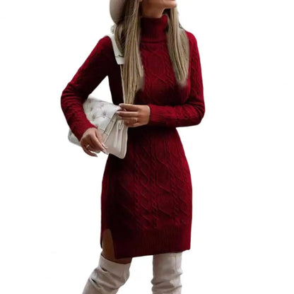 Women's Turtleneck Sweater Dress