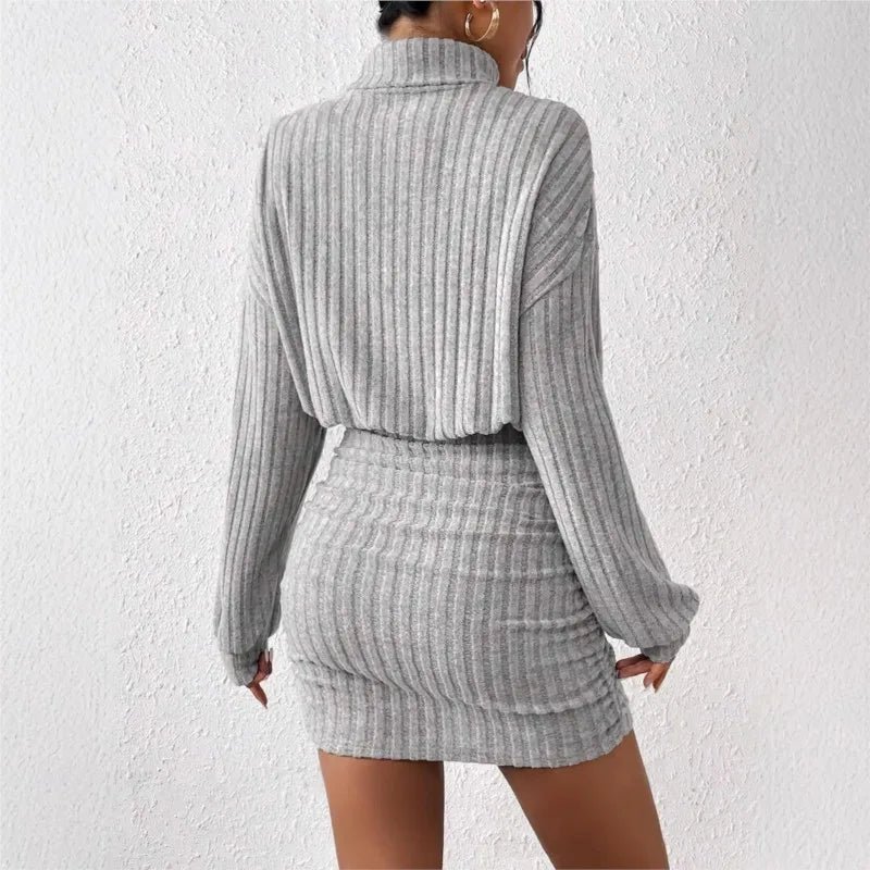 Chic Turtleneck Mini Dress