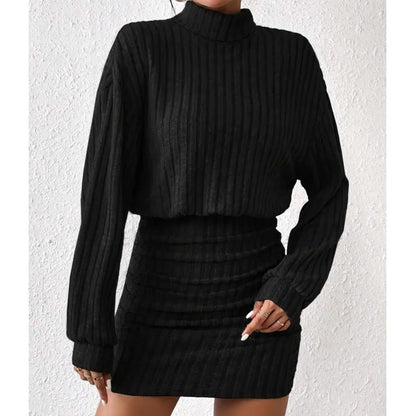 Chic Turtleneck Mini Dress