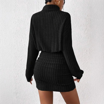 Chic Turtleneck Mini Dress